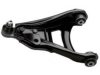 RENAU 6001025843 Track Control Arm